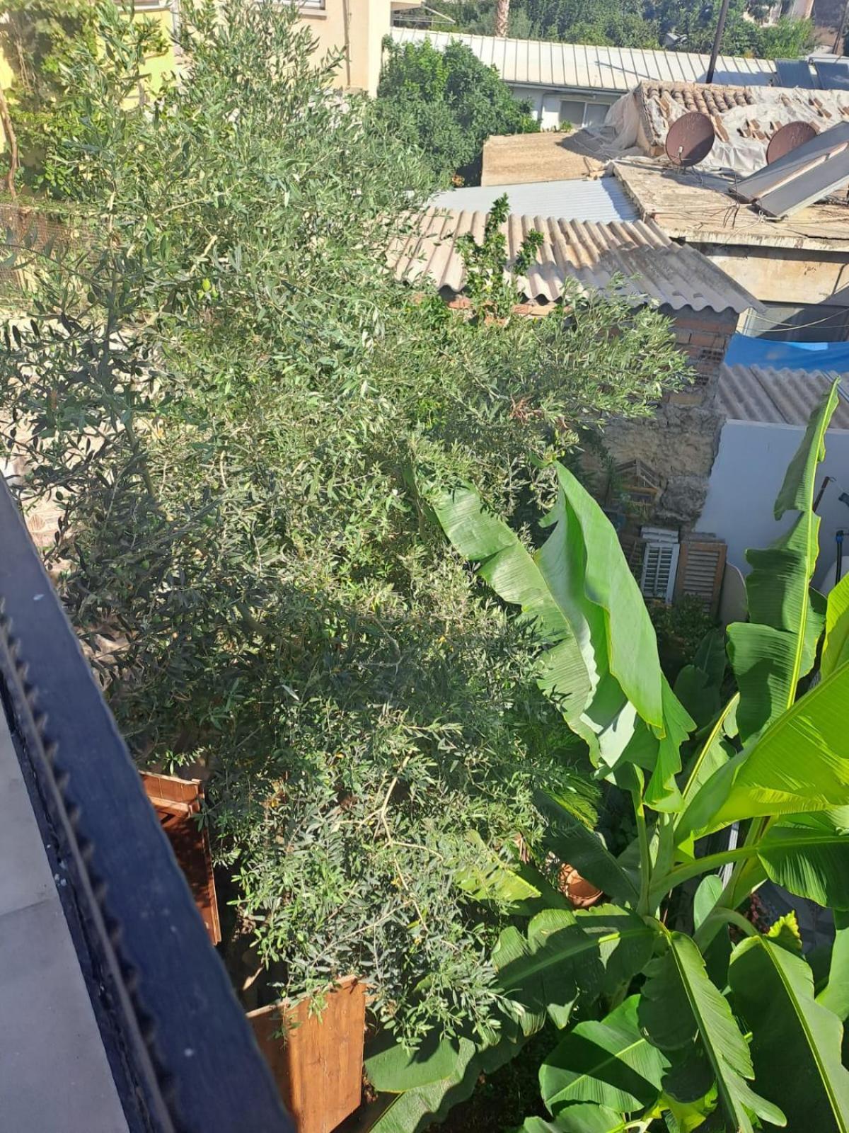 Magic Moon Guest House Αμμόχωστος Εξωτερικό φωτογραφία