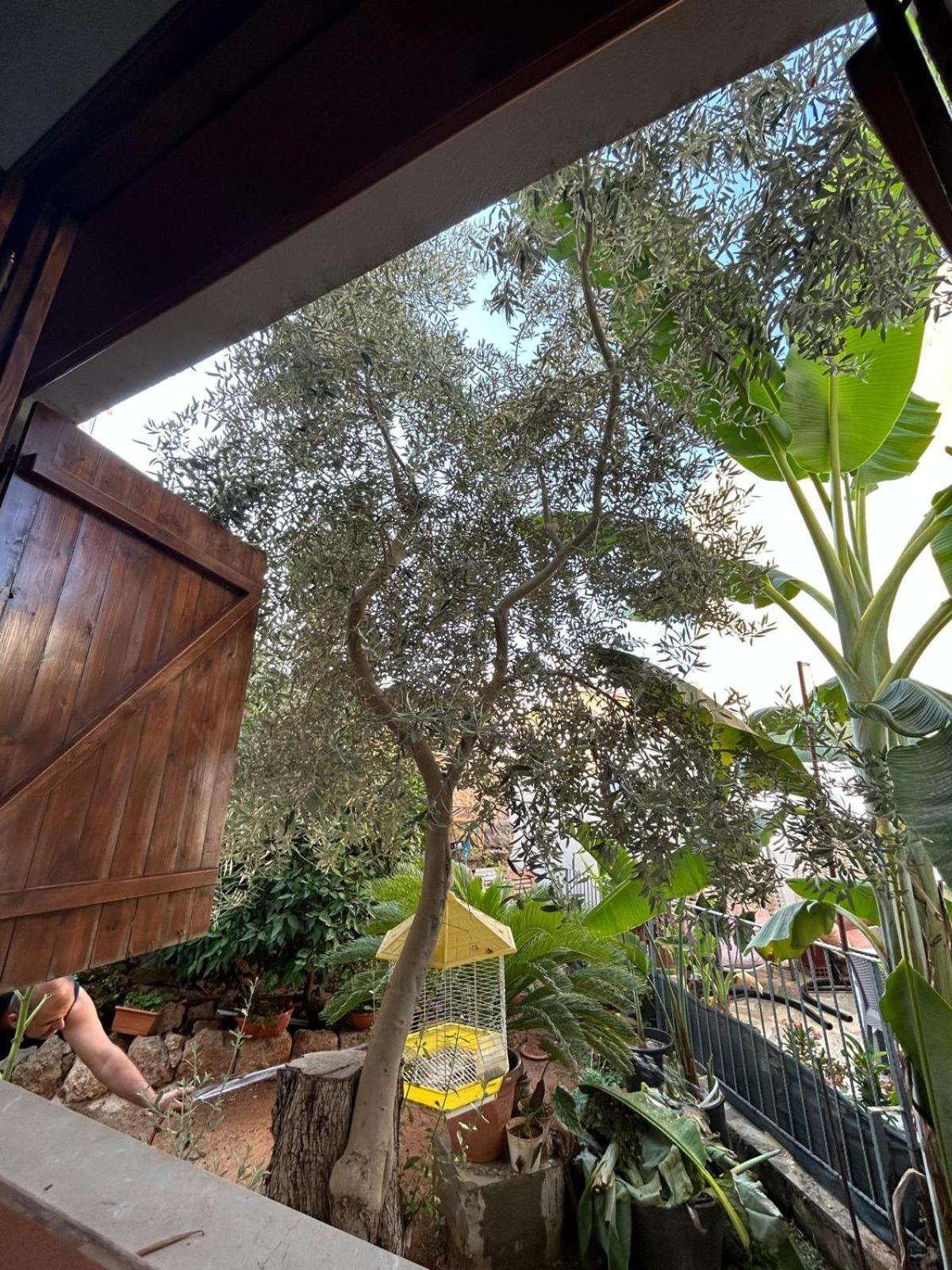 Magic Moon Guest House Αμμόχωστος Εξωτερικό φωτογραφία