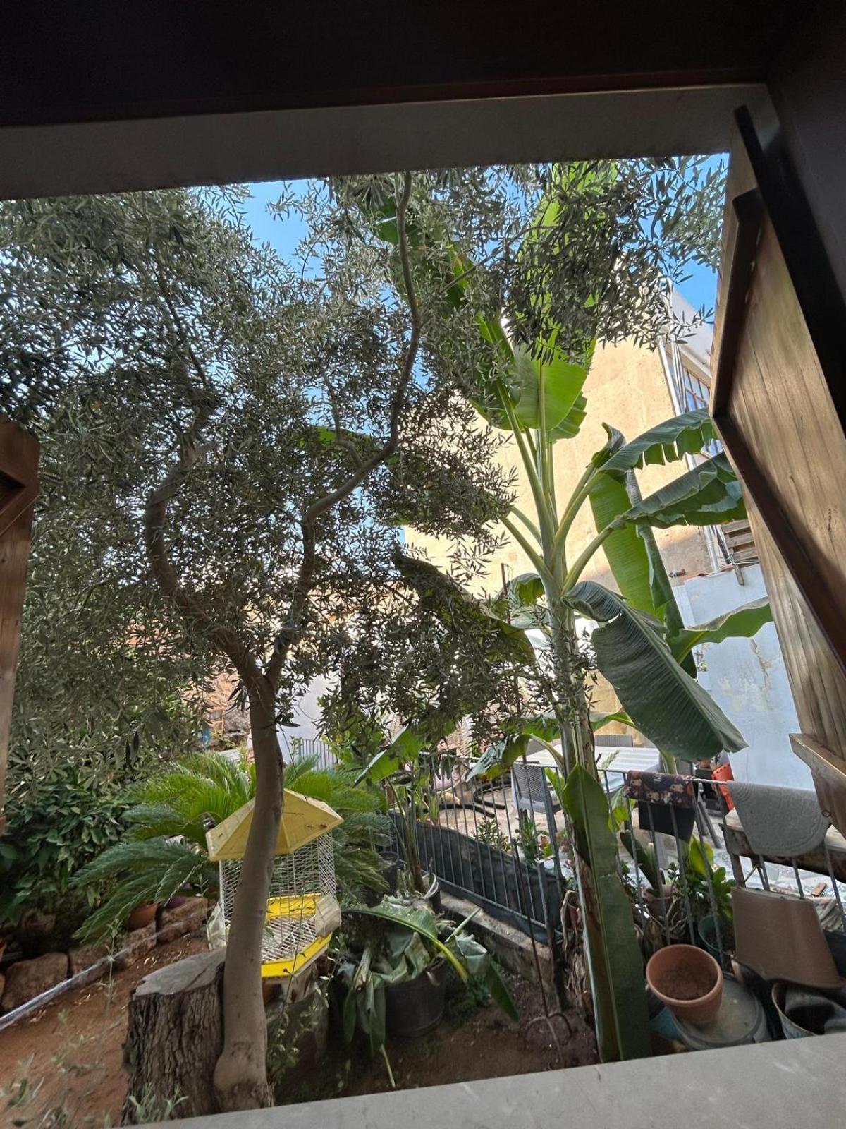 Magic Moon Guest House Αμμόχωστος Εξωτερικό φωτογραφία